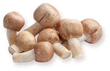 Agaricus Blazei