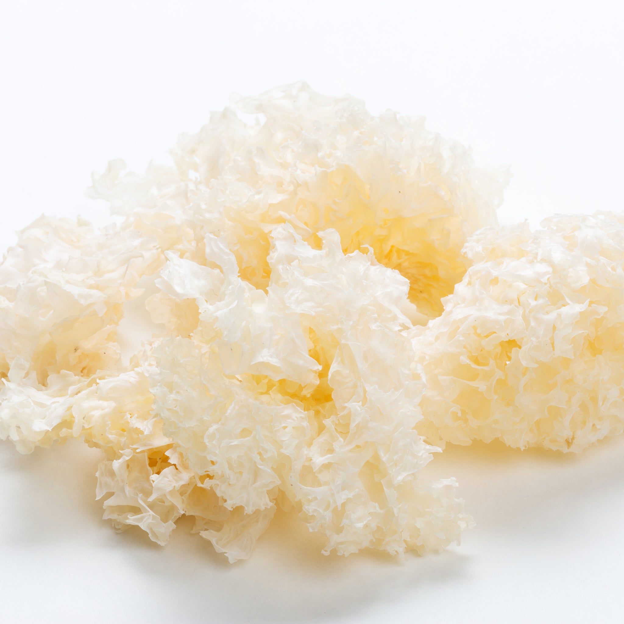 The Benefits of Tremella Mushroom