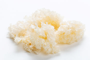 The Benefits of Tremella Mushroom