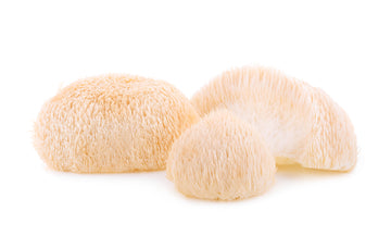 Amazing Benefits of Lions Mane Mushroom