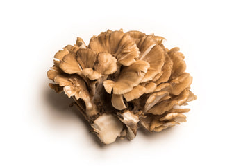 Look at Maitake Mushroom Benefits